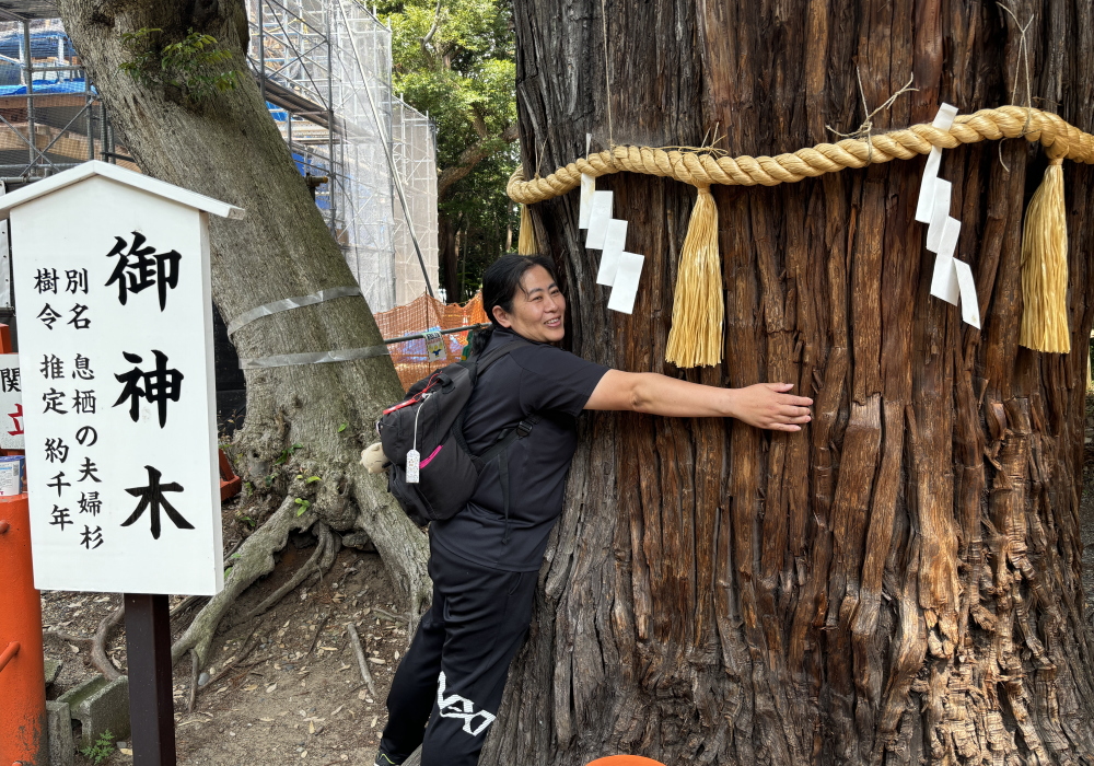 絆Nexus・息栖神社