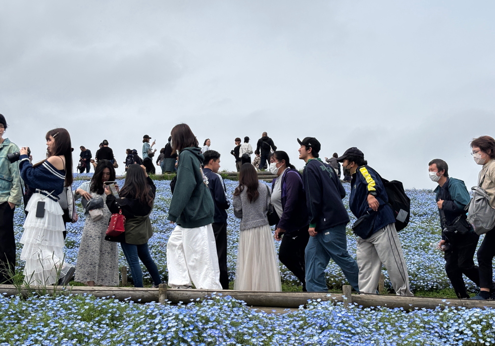 絆Nexus・ひたち海浜公園