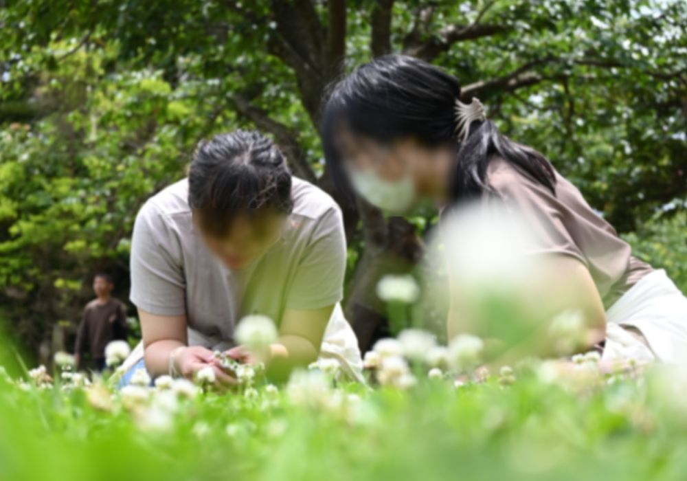 絆Nexus・潮騒はまなす公園